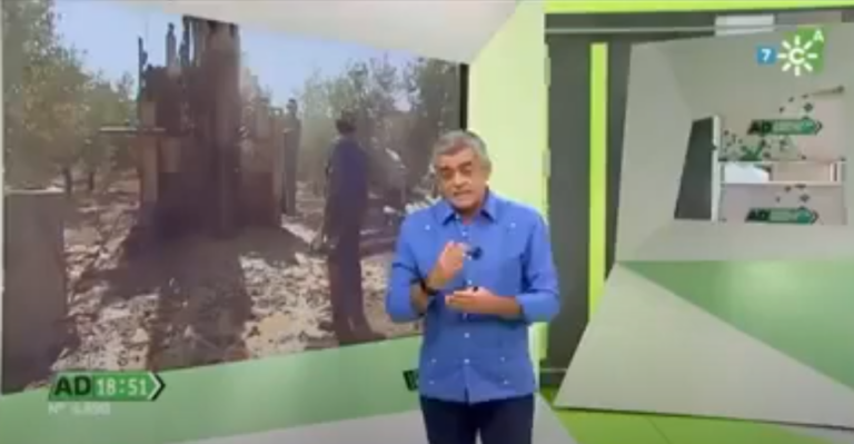 entrevista Progeo